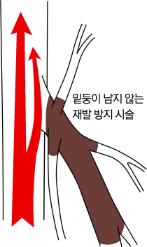 d299e4584dfbe46805bf733a4b6d332927b82da4sdxb.jpg